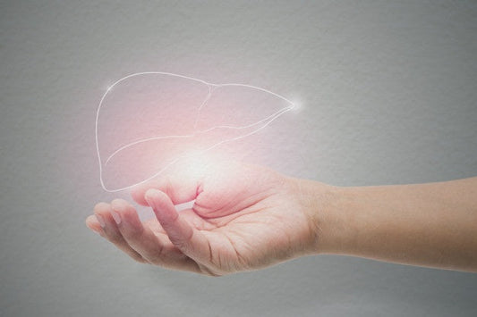 ¿Cuáles son los principales aspectos que debes conocer acerca del cáncer de hígado?
